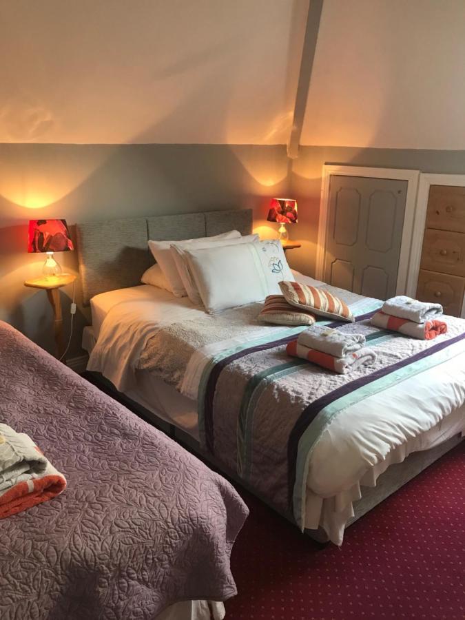 Aurora House Bed And Breakfast Athy Zewnętrze zdjęcie