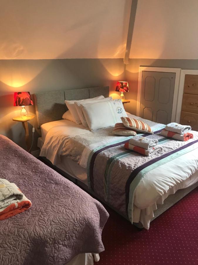 Aurora House Bed And Breakfast Athy Zewnętrze zdjęcie